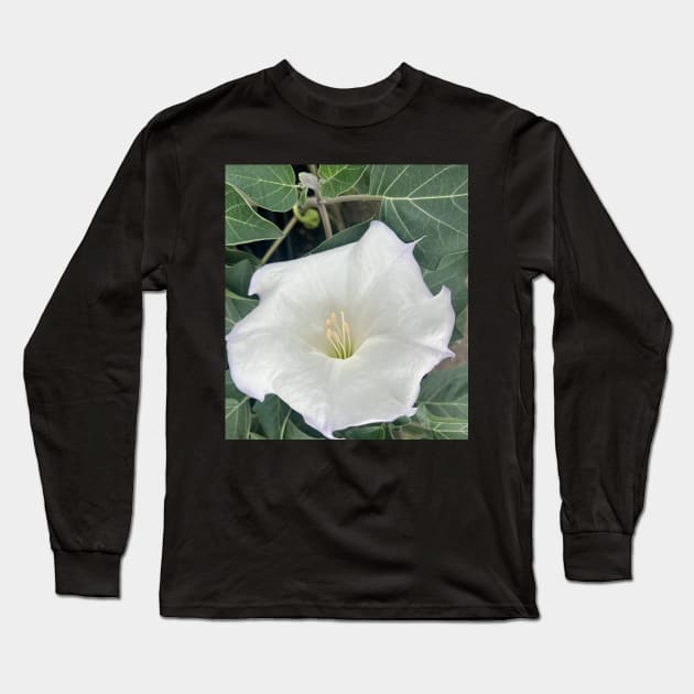 Speak Your Truth with the White Trumpet Flower Long Sleeve T-Shirt by Photomersion